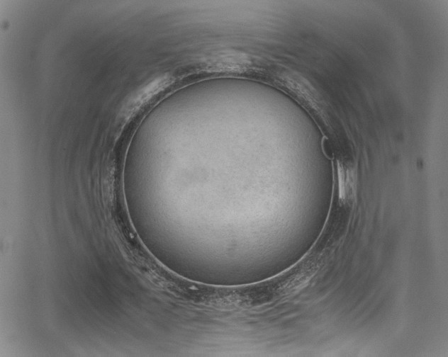 X0000062870675200601131442