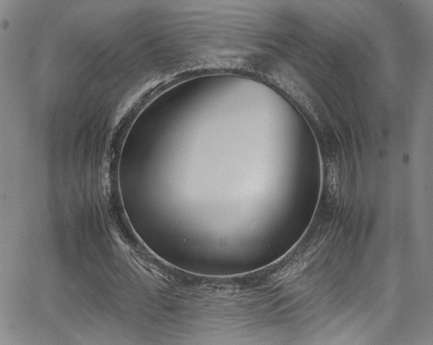 X0000062870676200601131442