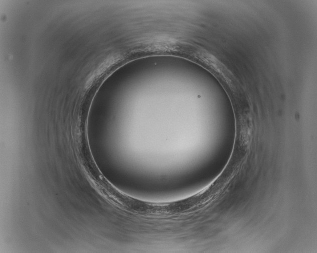 X0000062870677200601131442