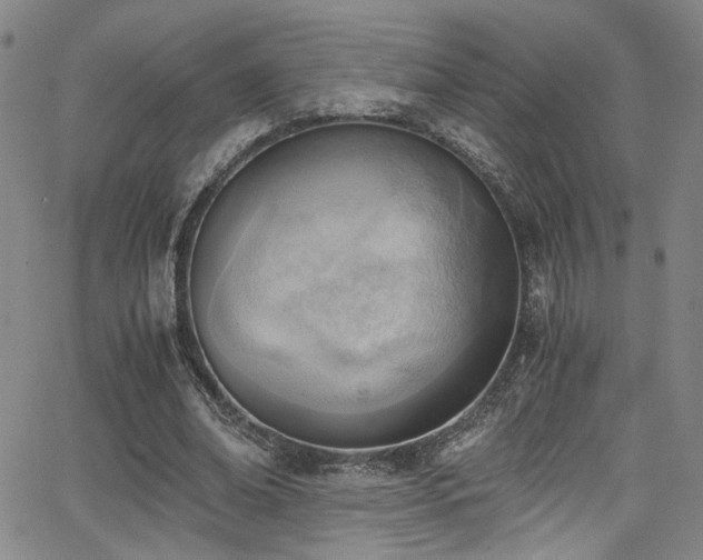 X0000062870678200601131442