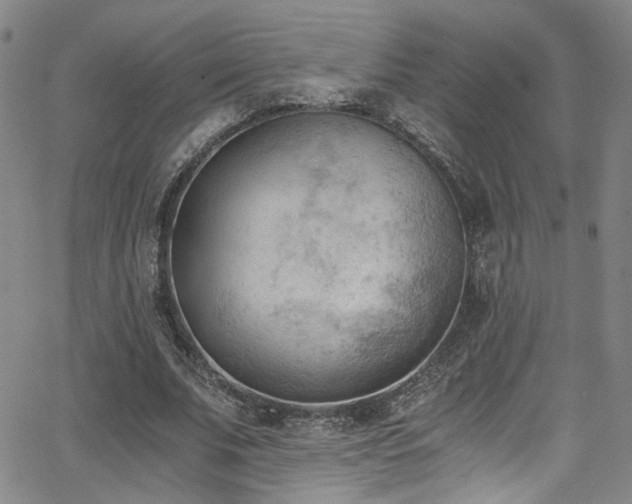 X0000062870679200601131442