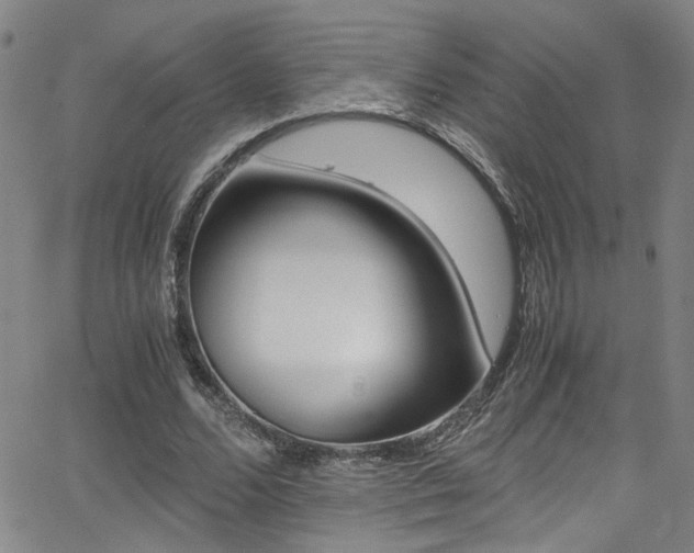 X0000062870680200601131442