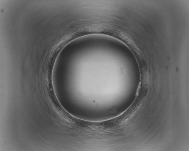 X0000062870681200601131442