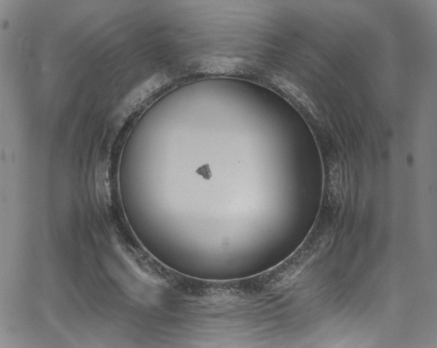 X0000062870682200601131442