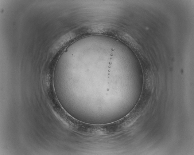 X0000062870683200601131442