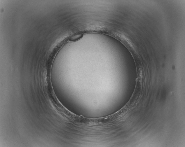 X0000062870684200601131442