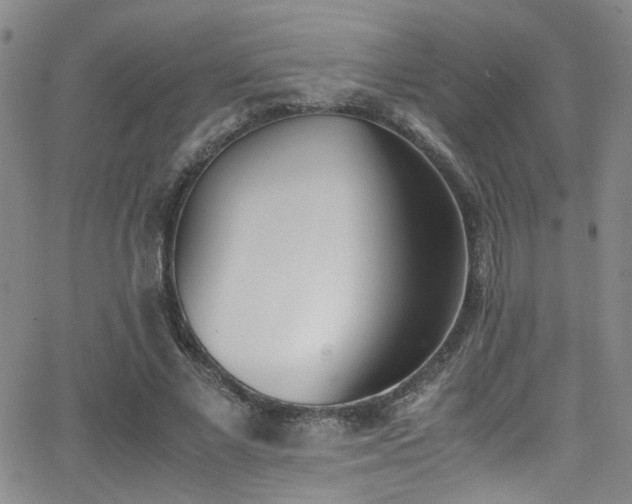 X0000062870685200601131442