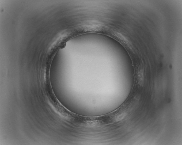 X0000062870686200601131442