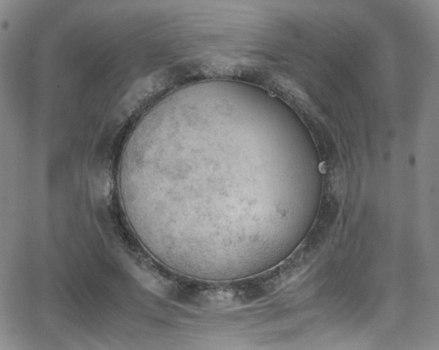 X0000062870687200601131442