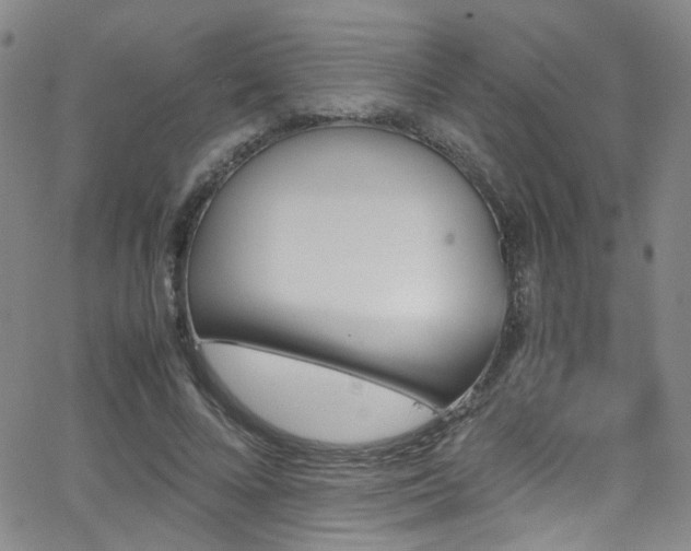 X0000062870688200601131442