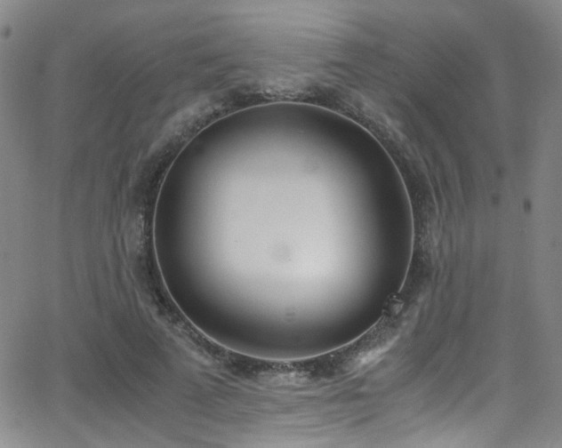 X0000062870689200601131442