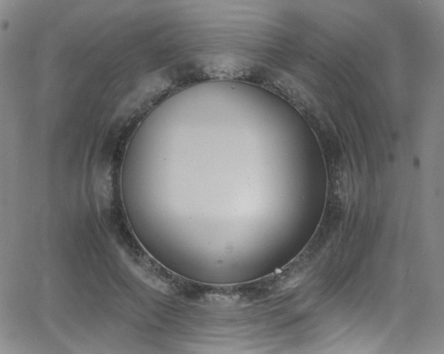 X0000062870690200601131442