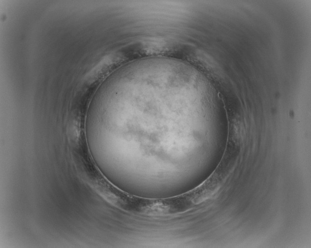 X0000062870691200601131442