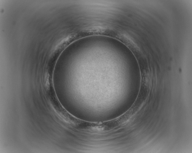 X0000062870692200601131442