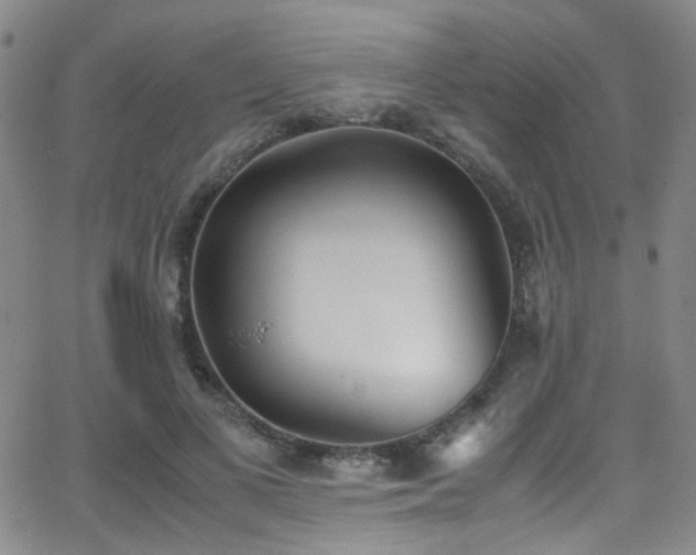 X0000062870693200601131442