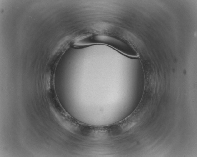 X0000062870694200601131442