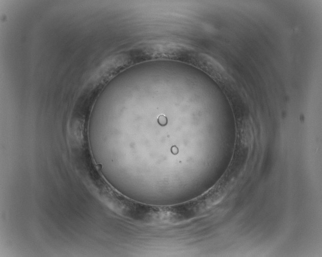 X0000062870695200601131442