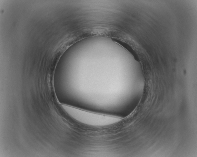 X0000062870696200601131441