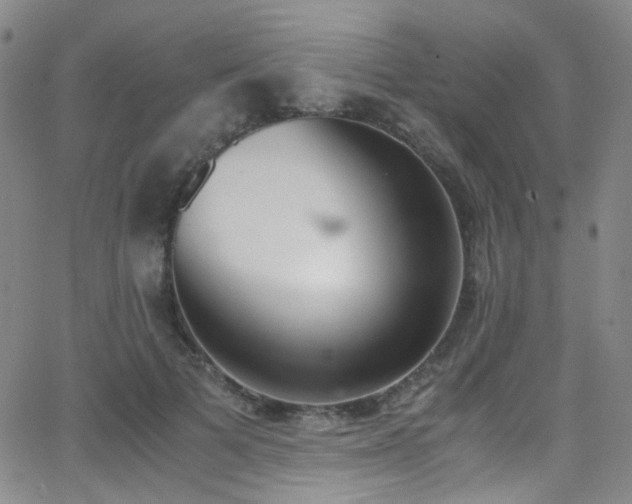 X0000062870697200601131441