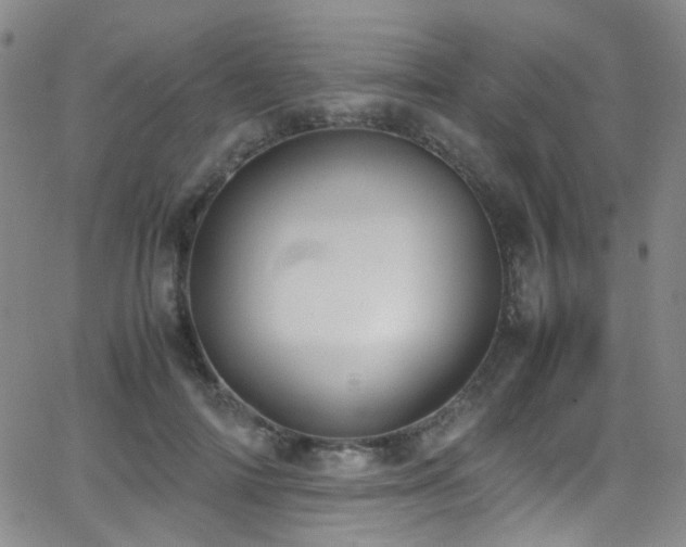 X0000062870698200601131441