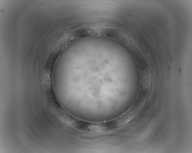 X0000062870699200601131441