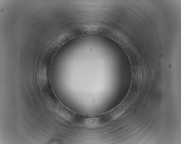 X0000062870700200601131441