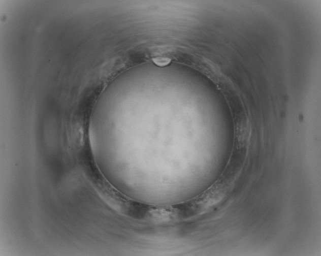 X0000062870703200601131441