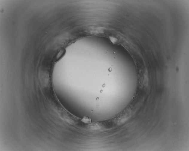 X0000062870704200601131441