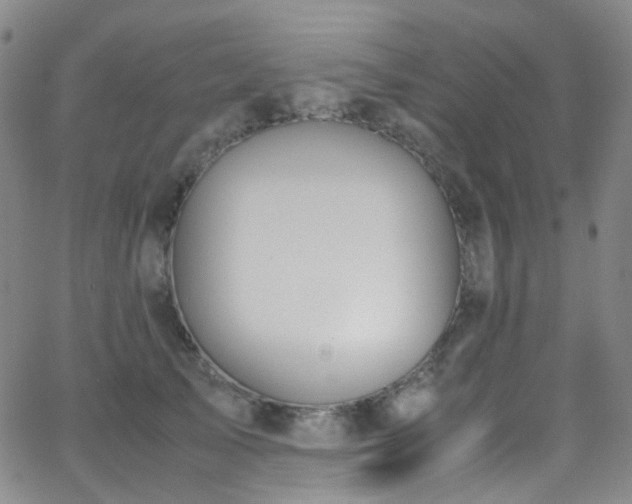 X0000062870705200601131441