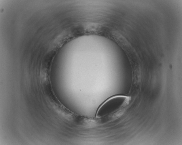 X0000062870706200601131441