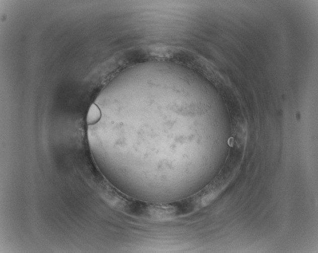 X0000062870707200601131441