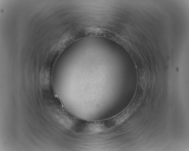 X0000062870708200601131441