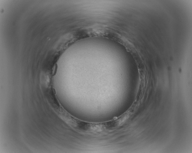 X0000062870709200601131441