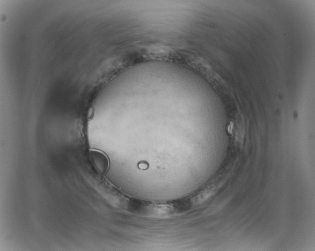 X0000062870711200601131441