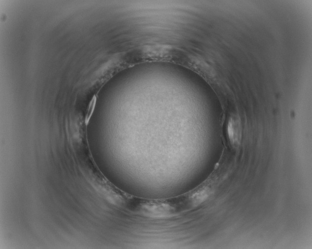 X0000062870712200601131441