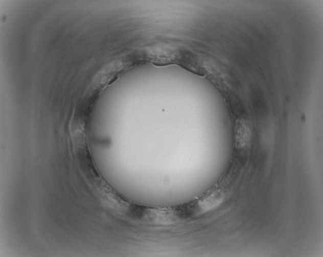 X0000062870713200601131441