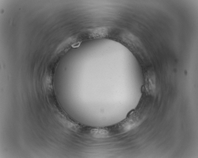 X0000062870714200601131441