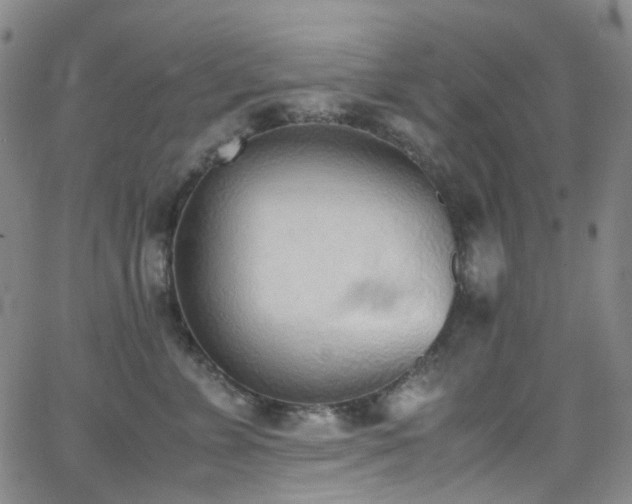 X0000062870715200601131441