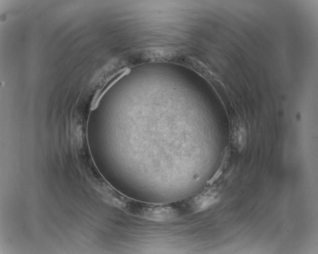 X0000062870716200601131441