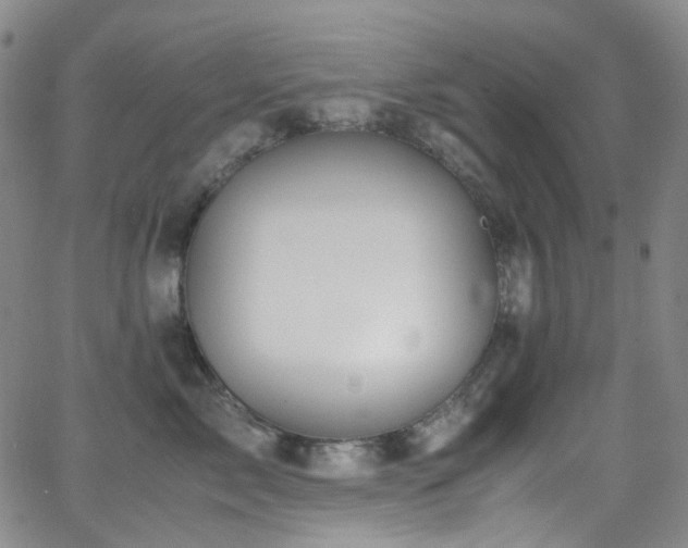 X0000062870717200601131441