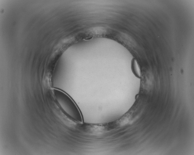 X0000062870718200601131441