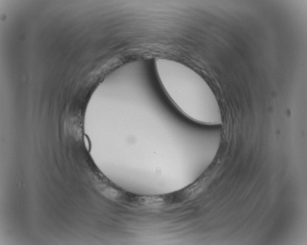 X0000062870719200601131441