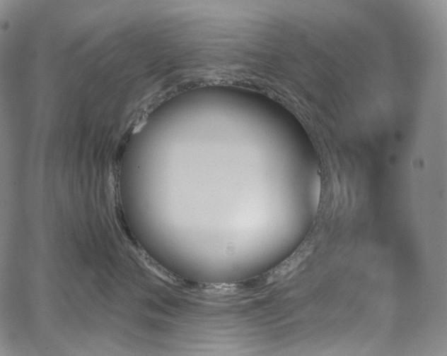 X0000062870720200601131441