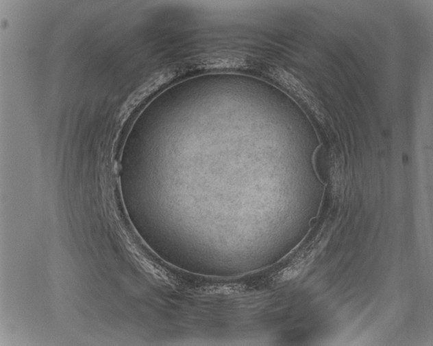 X0000062870721200601131440