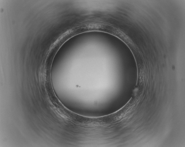 X0000062870722200601131440