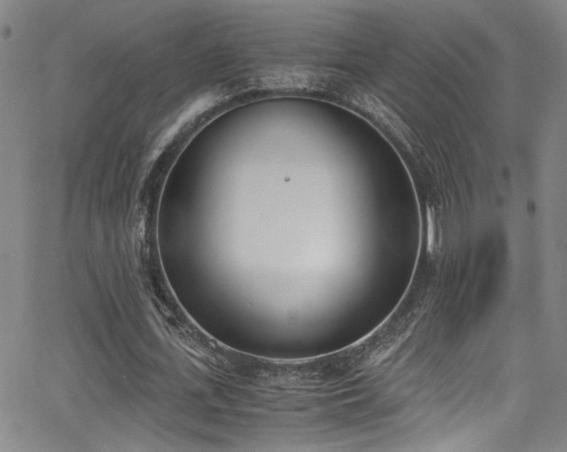 X0000062870723200601131440