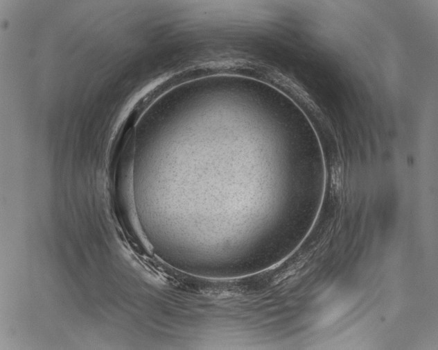 X0000062870724200601131440