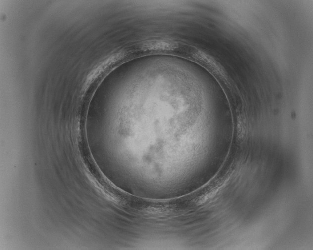 X0000062870725200601131440