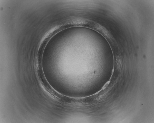 X0000062870726200601131440