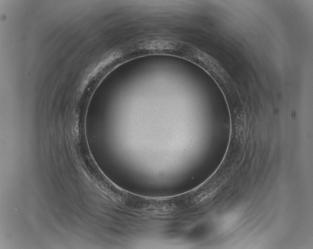 X0000062870727200601131440